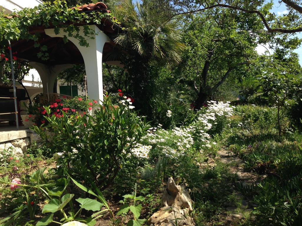 Apartments Anica Supetarska Draga Εξωτερικό φωτογραφία